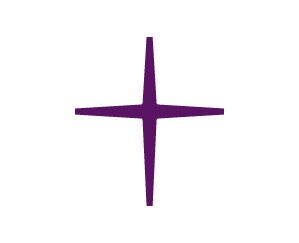 Nordkirche Kreuz lila